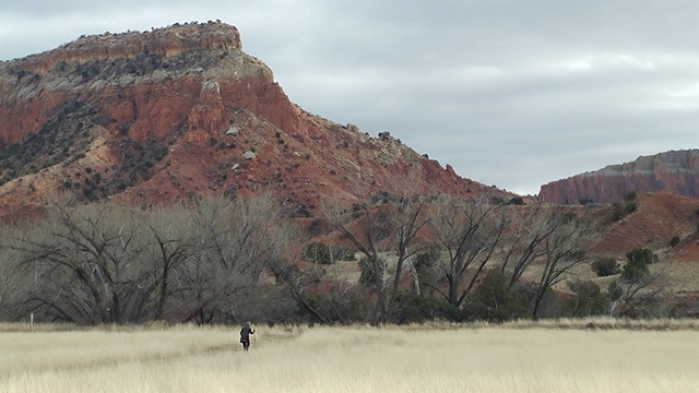 Joanna Macy, deep ecologist, systems theorist, Buddhist scholar, author, speaker, teacher, communing with the Earth at Ghost Ranch, New Mexico, January 2017. (Photo: Lois Canright)